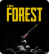 The Forest