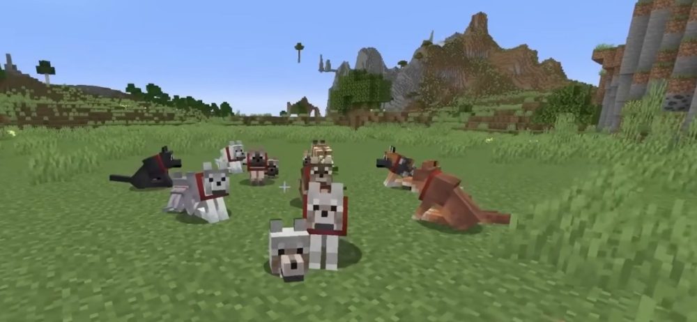 нові види вовків в Minecraft