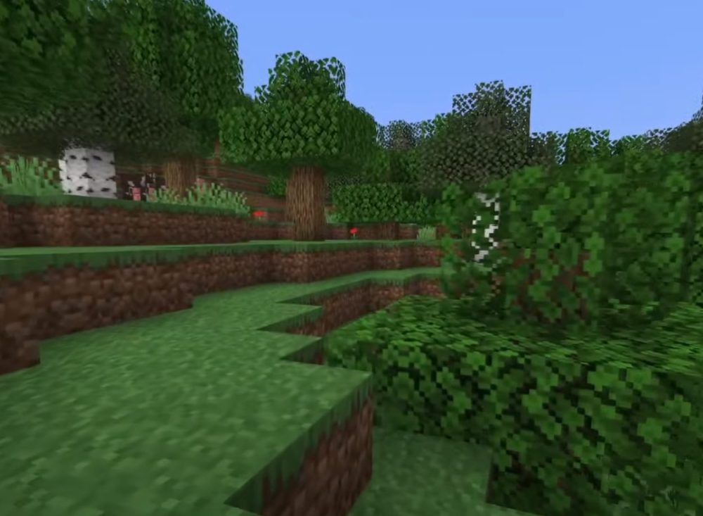 Лісовий біом у Minecraft