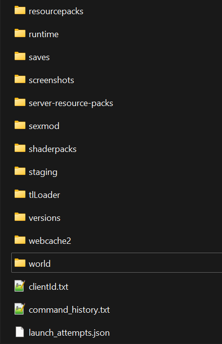 server world in minecraft folder