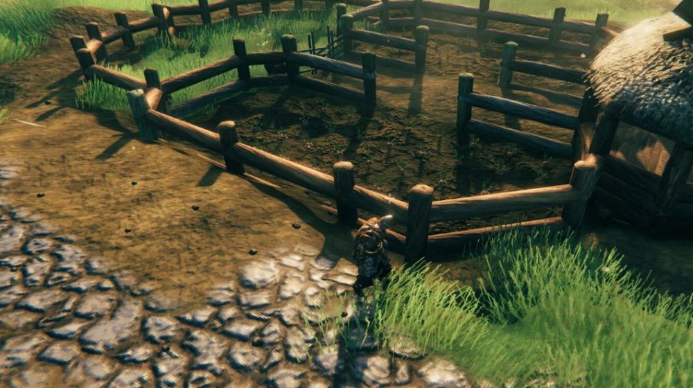 players farm in Valheim