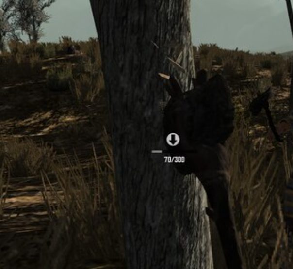 coal in trees 7 days to die