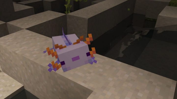 blue axolotl in minecraft