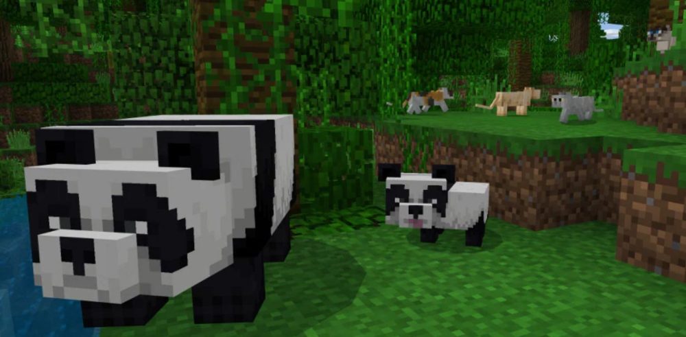 breeding pandas in minecraft