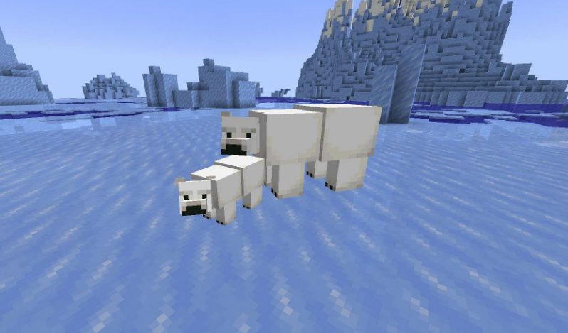 breeding polar bears in minecraft