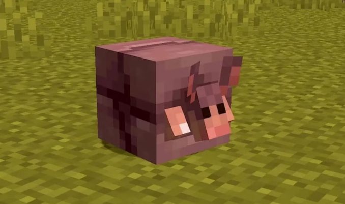 armadillo in minecraft