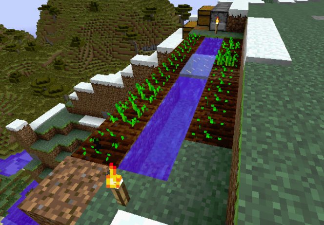 Prevent Water From Freezing in minecraft