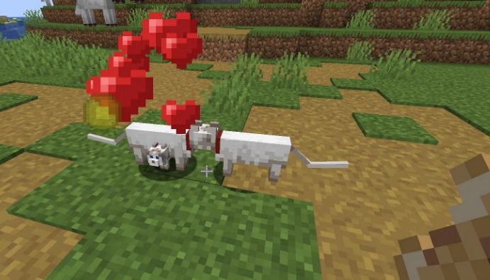 breeding cats in minecraft