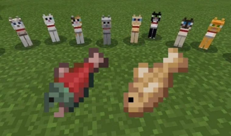 types of cats in minecraft