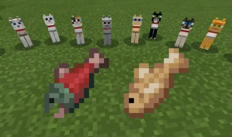 Katt Minecraft Minecraft Skin | Minecraft Skins