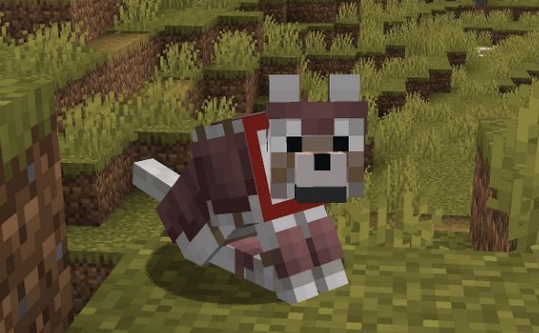 wolf in armour minecraft