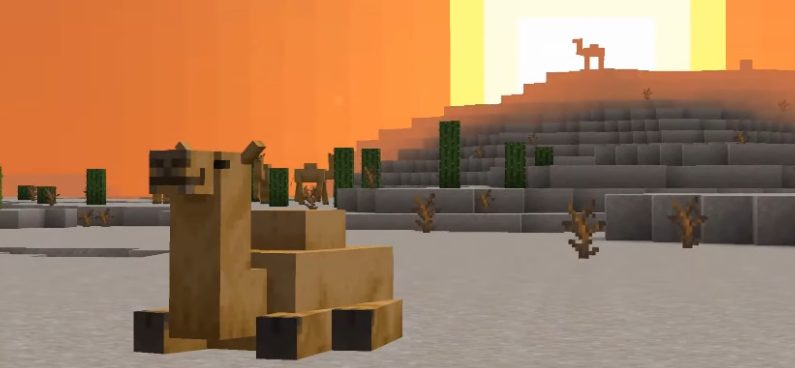 camels in minecraft