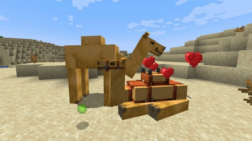 camels breeding in minecraft