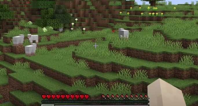 zoomed pov minecraft