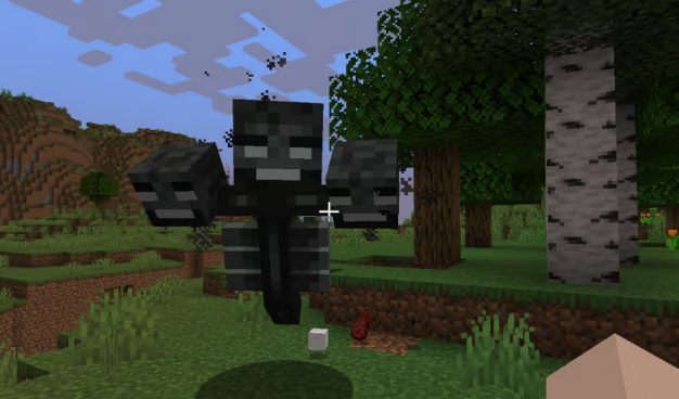 wither Griefing in minecraft