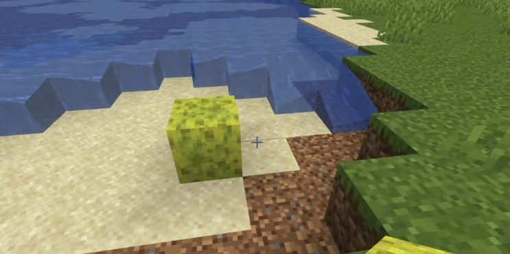 Sponges in Minecraft