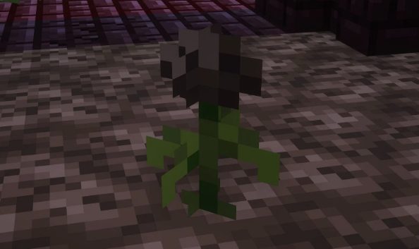 The Wither Rose in minecraft