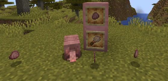 Armadillos Drop In Minecraft