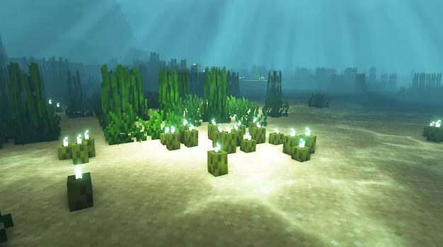 Sea Pickles minecraft usage