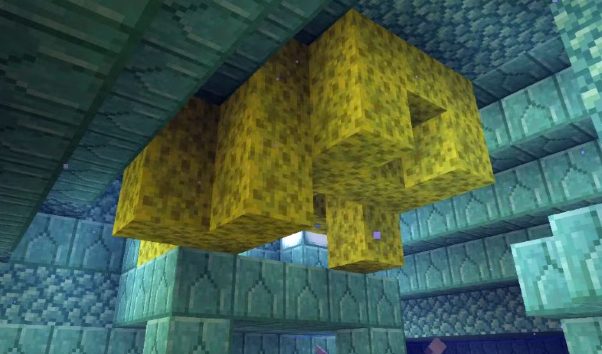 Sponge in minecraft