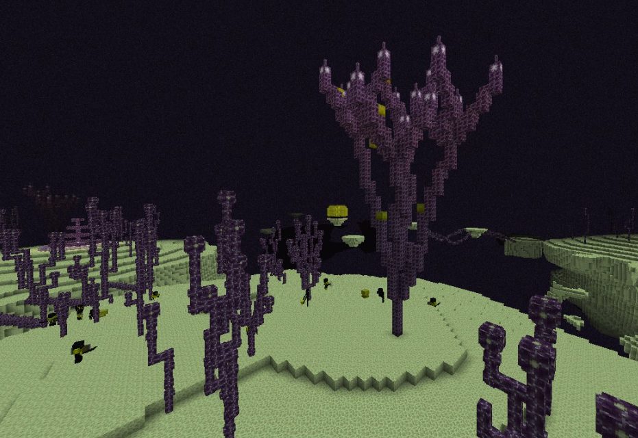 minecraft end world