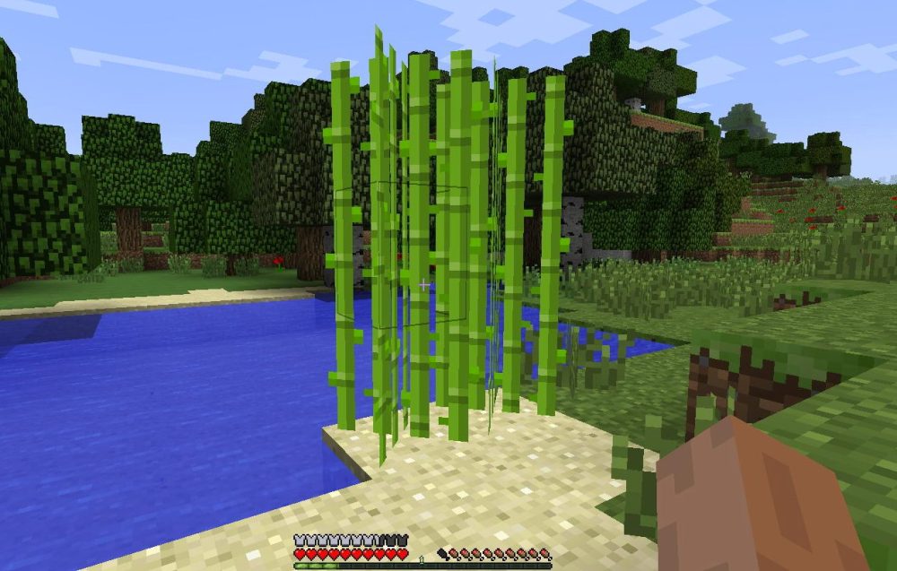 sugar cane minecraft