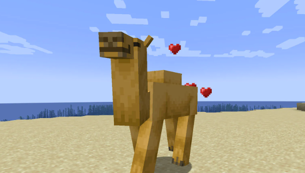 what do camels eat minecraft