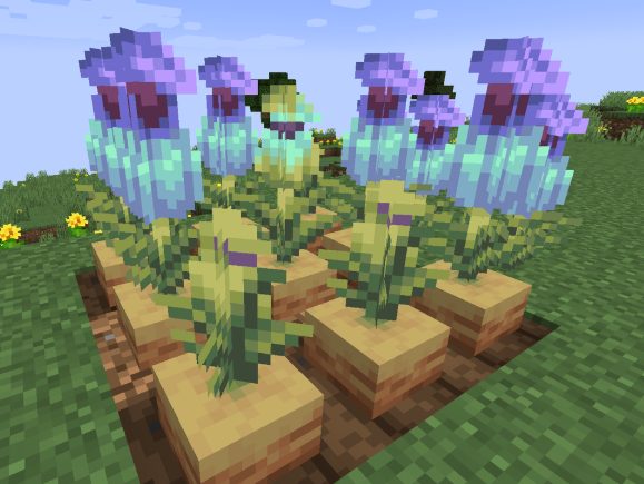 crop minecraft