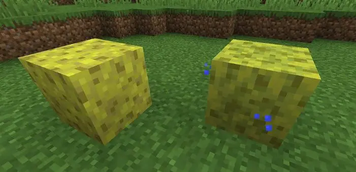 How to Get Sponges in Minecraft