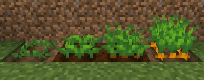 carrot farm minecraft