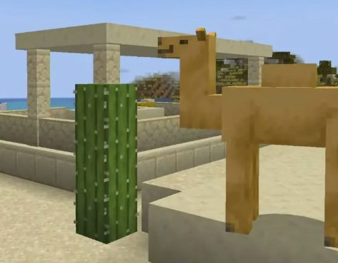 camels minecraft