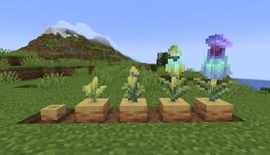 Pitcher Plants minecraft