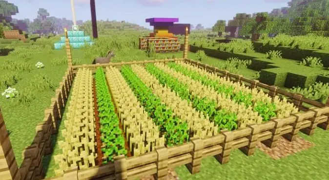 The Best Food to Cultivate in Minecraft