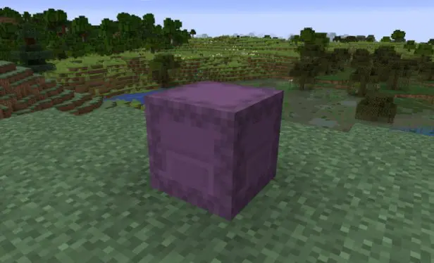 Minecraft Shulker Box