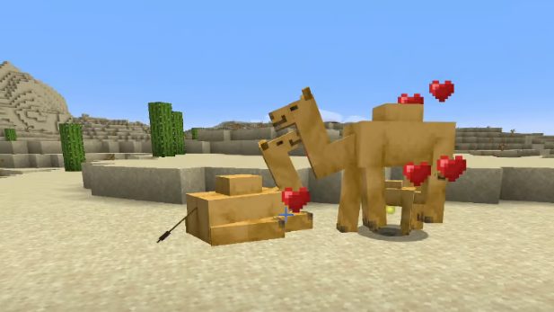 breeding camels minecraft