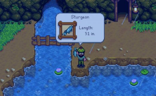 Sturgeon Stardew Valley