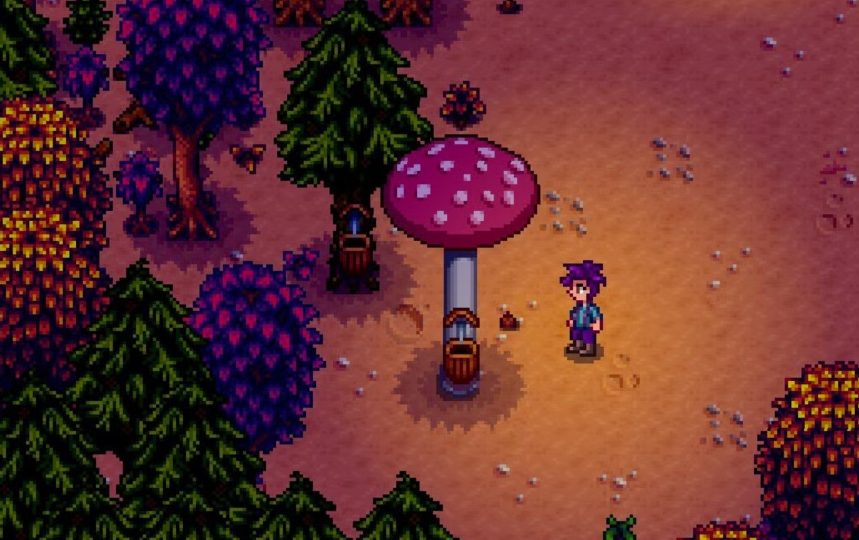 foraging stardew valley