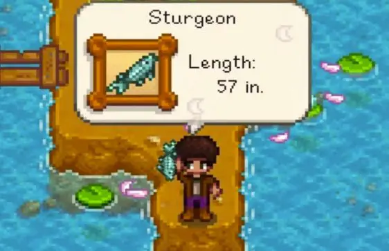 Where to Find and Catch a Sturgeon Stardew Valley