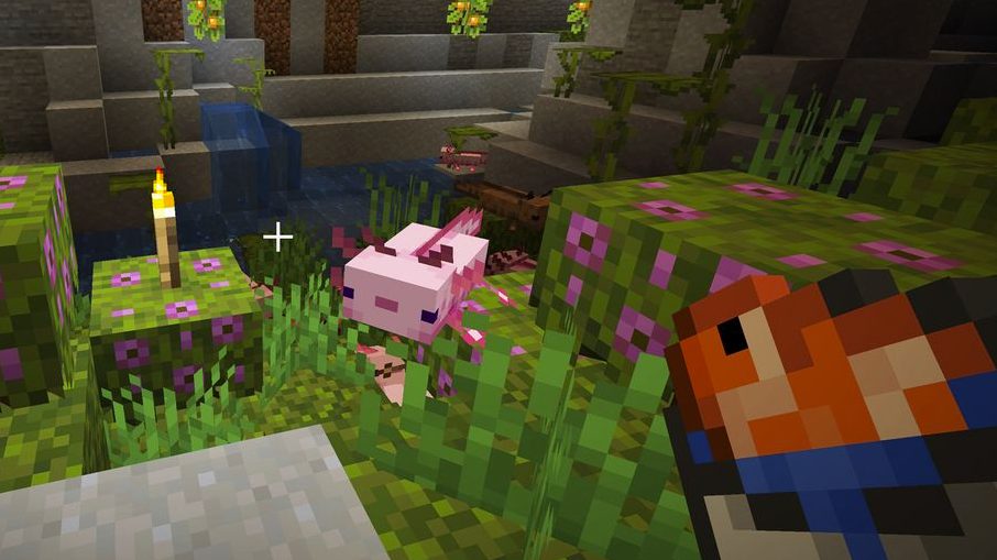 What Do Axolotls Eat in Minecraft