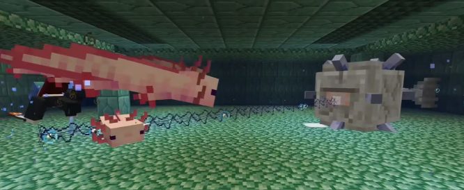 minecraft Axolotls