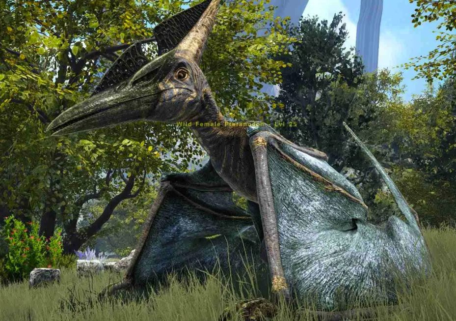 Tame a Pteranodons ARK