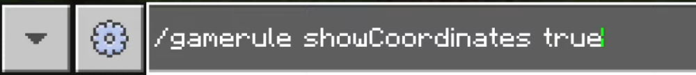 Minecraft Bedrock Showcoordinates