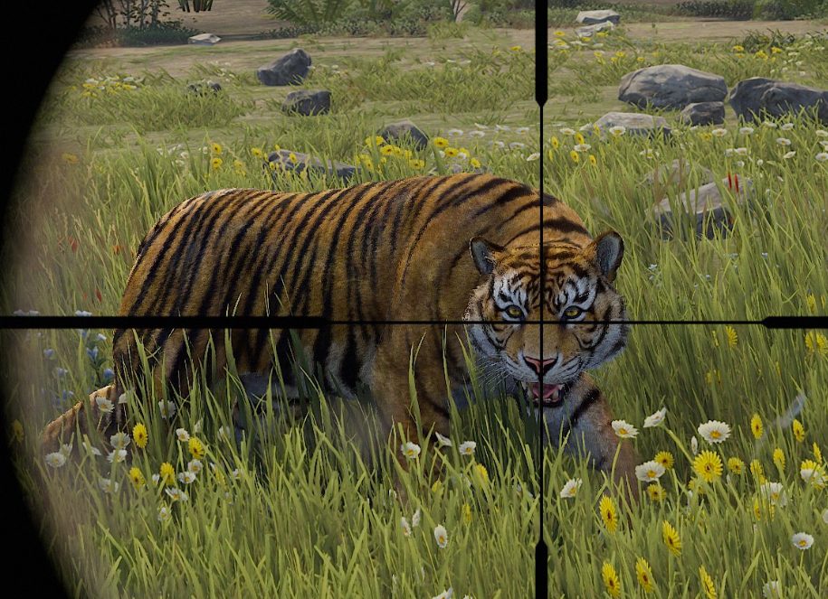 Rust Tiger