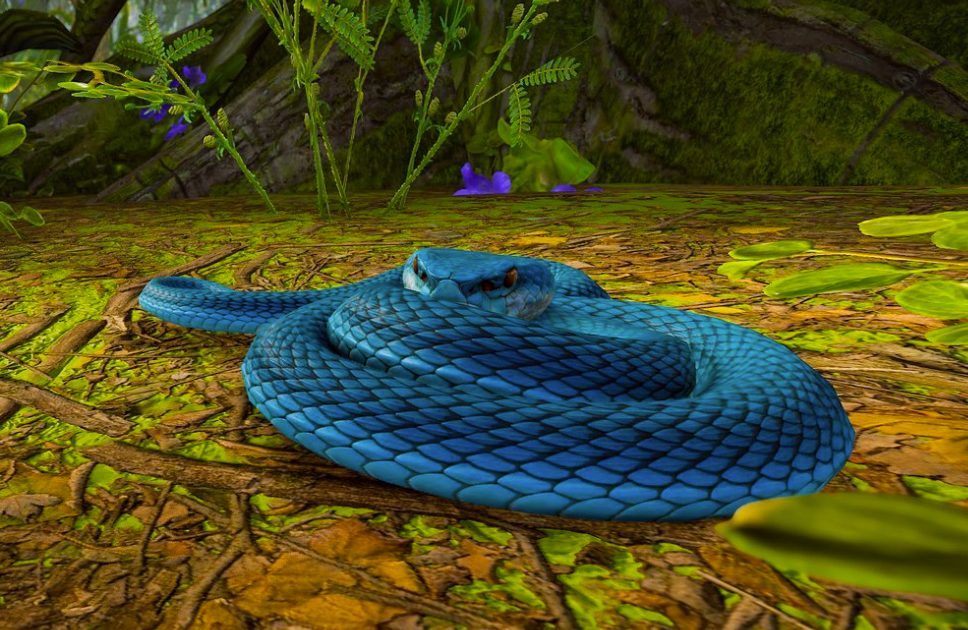 Rust Snakes