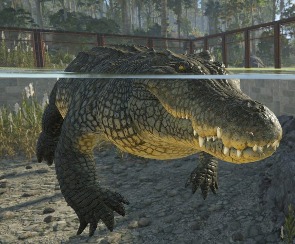 Rust crocodiles