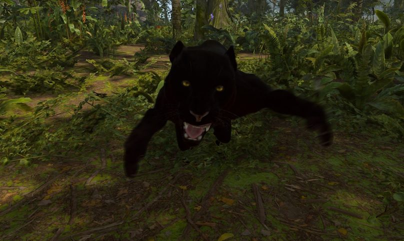 Rust Panthers