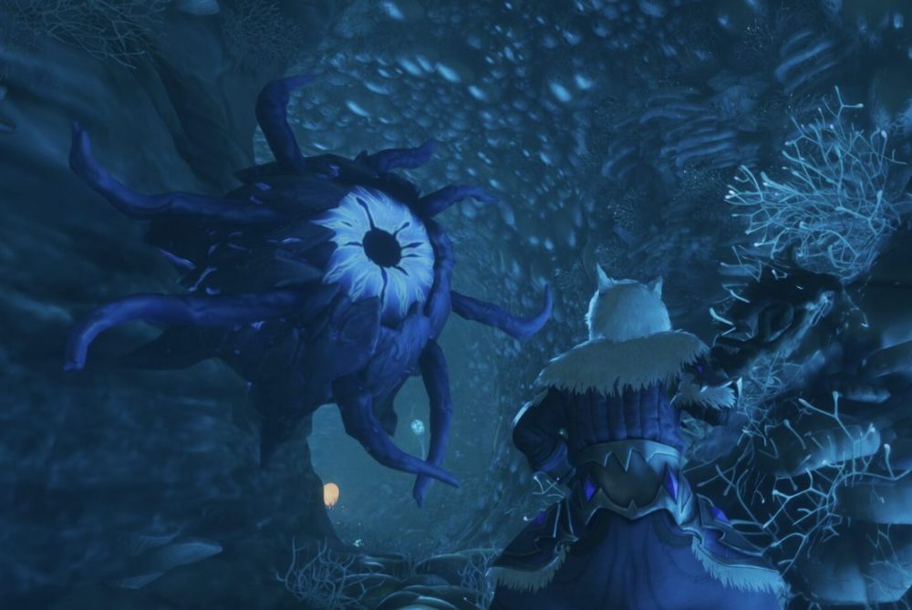 enshrouded fight