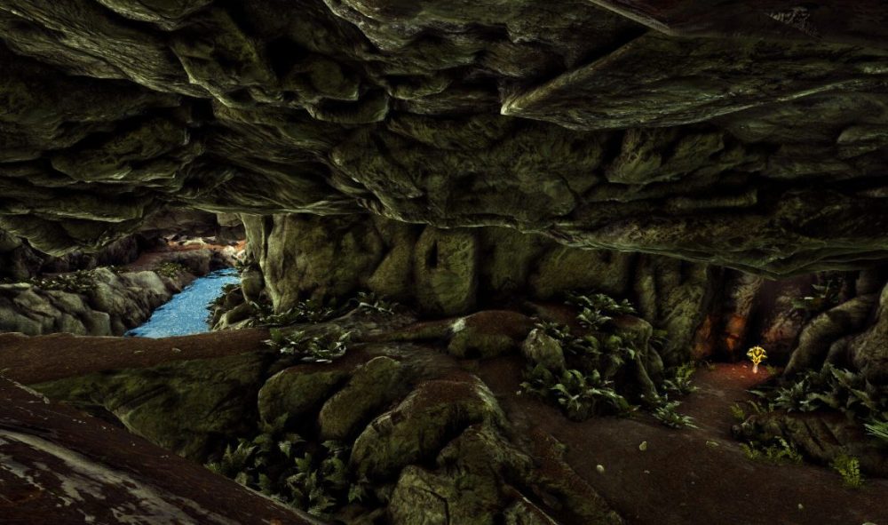 ARK cave
