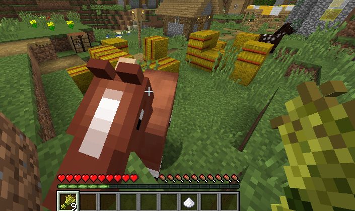 feeding horse in minecraft