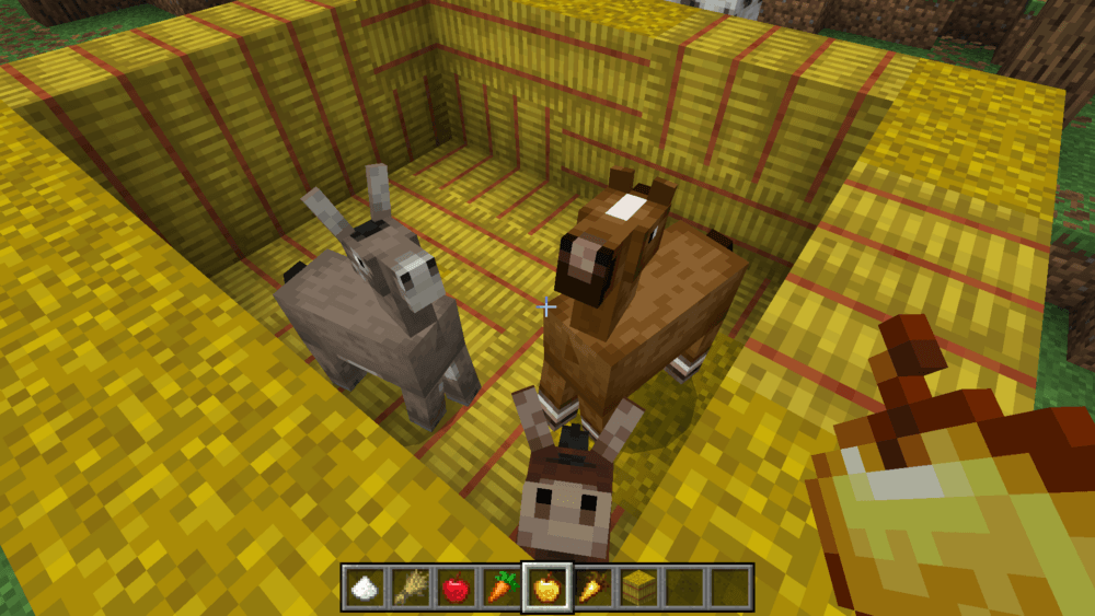 Horse and donkey breeding image